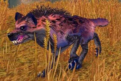 魔兽世界wlk土狼捕捉位置_游戏攻略_第1张_ab游戏 魔兽世界wlk土狼捕捉位置_http://www.abetid.com_游戏攻略_第1张