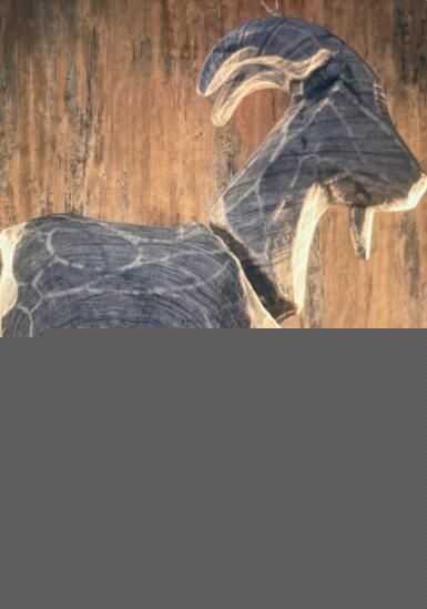 生化危机8山羊打不打_http://www.abetid.com_游戏攻略_第2张