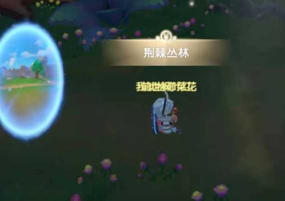 摩尔庄园黑森林任务攻略_http://www.abetid.com_游戏攻略_第3张