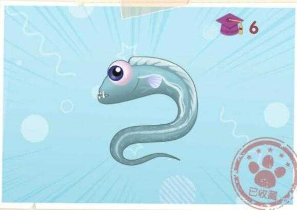 摩尔庄园手游带鱼钓鱼地点_http://www.abetid.com_游戏攻略_第2张