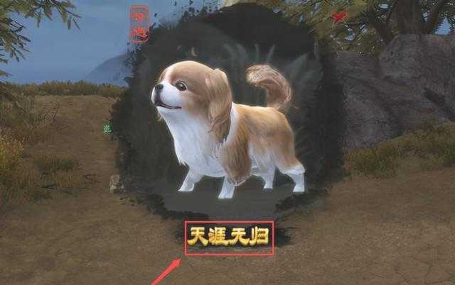 剑三普通奇遇推荐_http://www.abetid.com_游戏攻略_第5张