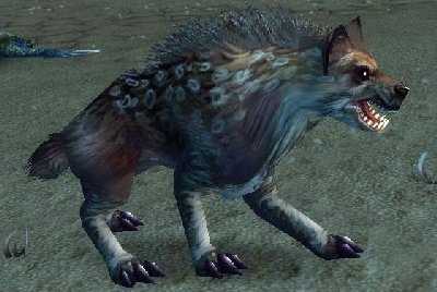 魔兽世界wlk土狼捕捉位置_游戏攻略_第12张_ab游戏 魔兽世界wlk土狼捕捉位置_http://www.abetid.com_游戏攻略_第12张