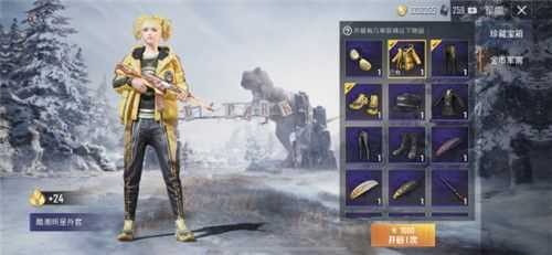 和平精英酷潮明星花费多少_http://www.abetid.com_游戏攻略_第2张