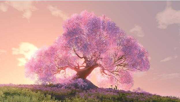 天谕手游全部秋千位置汇总_http://www.abetid.com_游戏攻略_第2张