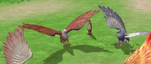 创造与魔法狮鹫刷新位置一览_游戏攻略_第1张_ab游戏 创造与魔法狮鹫刷新位置一览_http://www.abetid.com_游戏攻略_第1张