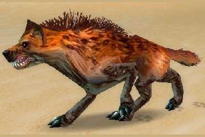 魔兽世界wlk土狼捕捉位置_游戏攻略_第11张_ab游戏 魔兽世界wlk土狼捕捉位置_http://www.abetid.com_游戏攻略_第11张