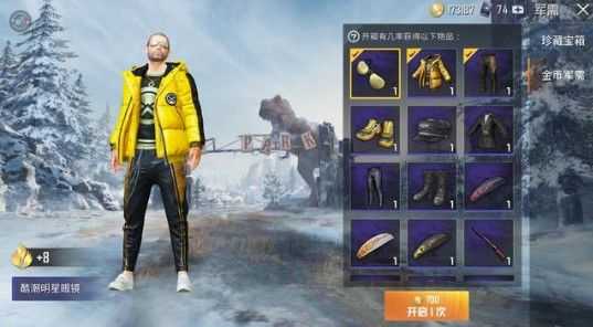 和平精英酷潮明星花费多少_http://www.abetid.com_游戏攻略_第1张