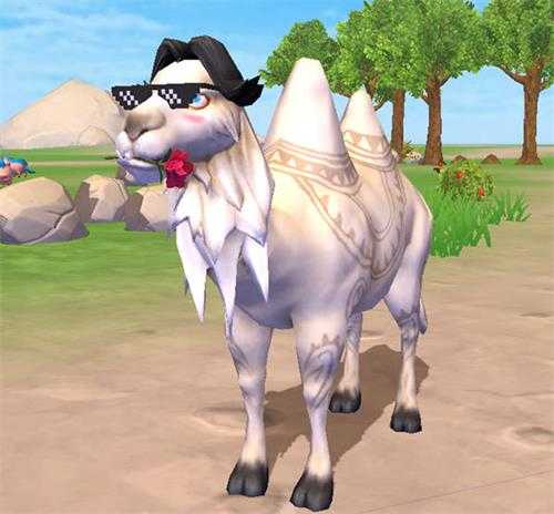 创造与魔法坐骑绅士骆驼怎么得_游戏攻略_第1张_ab游戏 创造与魔法坐骑绅士骆驼怎么得_http://www.abetid.com_游戏攻略_第1张