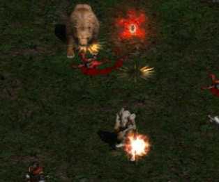 暗黑破坏神2德鲁伊玩法_游戏攻略_第4张_ab游戏 暗黑破坏神2德鲁伊玩法_http://www.abetid.com_游戏攻略_第4张