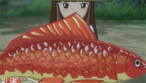 小森生活鲤鱼王饲料获取方法_http://www.abetid.com_游戏攻略_第2张