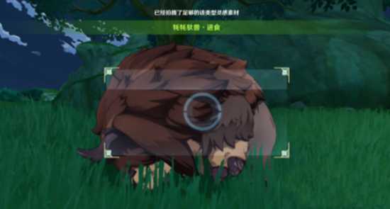 原神动物行为拍摄变化攻略_游戏攻略_第3张_ab游戏 原神动物行为拍摄变化攻略_http://www.abetid.com_游戏攻略_第3张