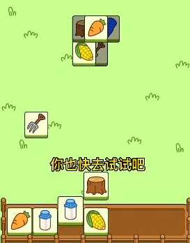 羊了个羊游戏攻略11.3_http://www.abetid.com_游戏攻略_第4张