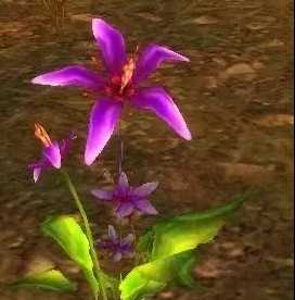 魔兽世界怀旧服阿尔萨斯之泪采集点_http://www.abetid.com_游戏攻略_第1张