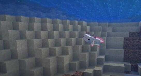 我的世界美西螈驯服技巧_http://www.abetid.com_游戏攻略_第3张