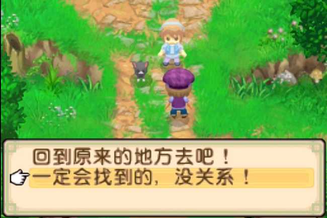 牧场物语双子村结婚攻略_http://www.abetid.com_游戏攻略_第8张