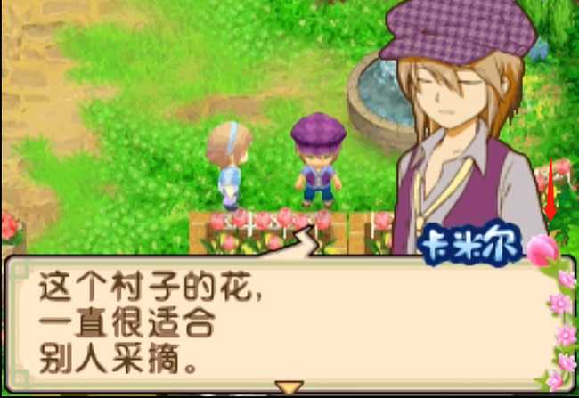 牧场物语双子村结婚攻略_http://www.abetid.com_游戏攻略_第5张