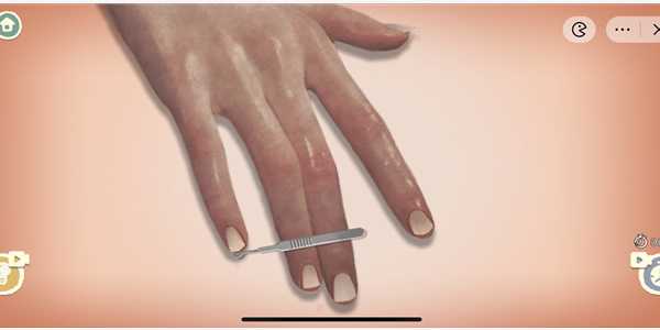 收纳物语芊芊玉手通关攻略_http://www.abetid.com_游戏攻略_第5张