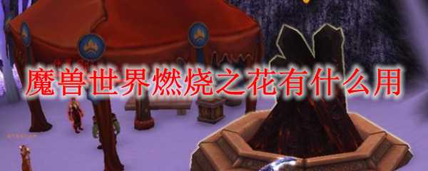 魔兽世界燃烧之花作用解析_游戏攻略_第1张_ab游戏 魔兽世界燃烧之花作用解析_http://www.abetid.com_游戏攻略_第1张