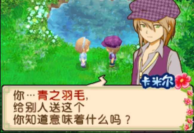 牧场物语双子村结婚攻略_http://www.abetid.com_游戏攻略_第11张