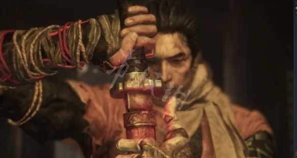 只狼影逝二度老年义父通关攻略_http://www.abetid.com_游戏攻略_第2张