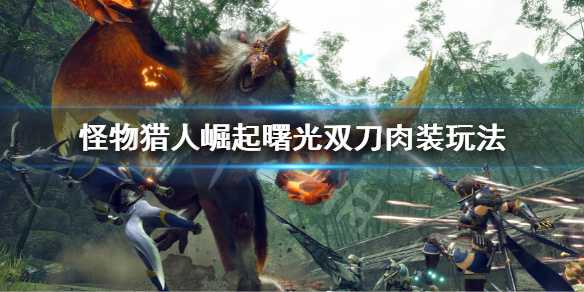 怪物猎人崛起曙光双刀肉装输出玩法_http://www.abetid.com_游戏攻略_第1张
