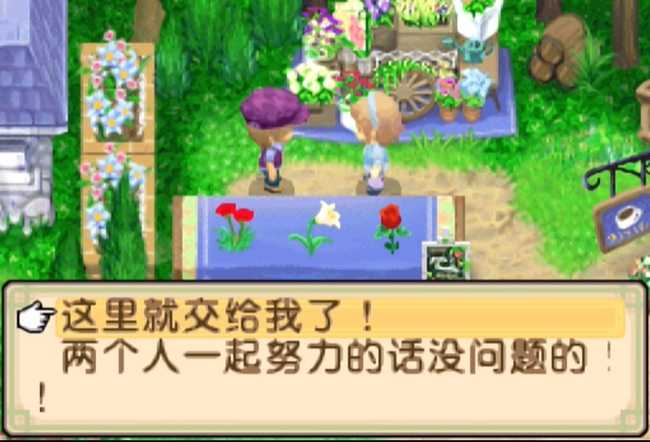 牧场物语双子村结婚攻略_http://www.abetid.com_游戏攻略_第7张
