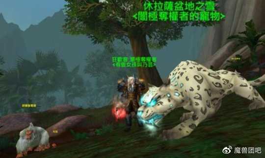 魔兽世界wlk猎人宠物选择攻略_游戏攻略_第8张_ab游戏 魔兽世界wlk猎人宠物选择攻略_http://www.abetid.com_游戏攻略_第8张