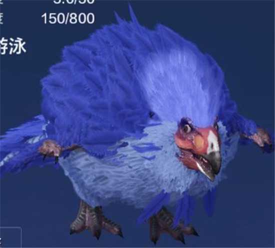 妄想山海翠鹞位置详解分析_http://www.abetid.com_游戏攻略_第1张