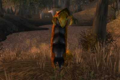 魔兽世界wlk蠕虫捕捉指南_http://www.abetid.com_游戏攻略_第1张