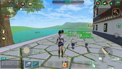 创造与魔法猫捕捉方法分享_http://www.abetid.com_游戏攻略_第2张