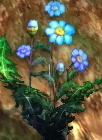 魔兽世界怀旧服盲目草采摘地点分享_http://www.abetid.com_游戏攻略_第1张