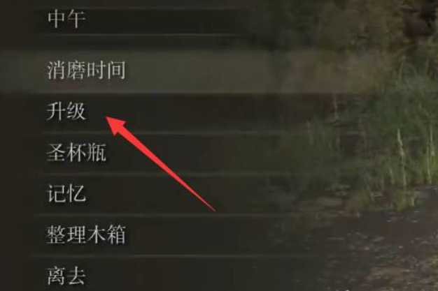 艾尔登法环升级技巧详解_http://www.abetid.com_游戏攻略_第3张